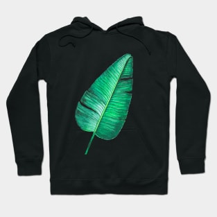 Tropical Banana leaf watercolor illustration Hoodie